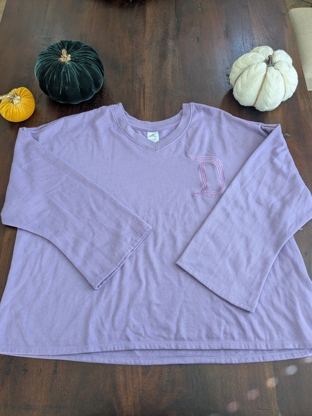 Disneyland Resort Lavender V-Neck Embroidered Logo Sweatshirt 1X, fits like 3X